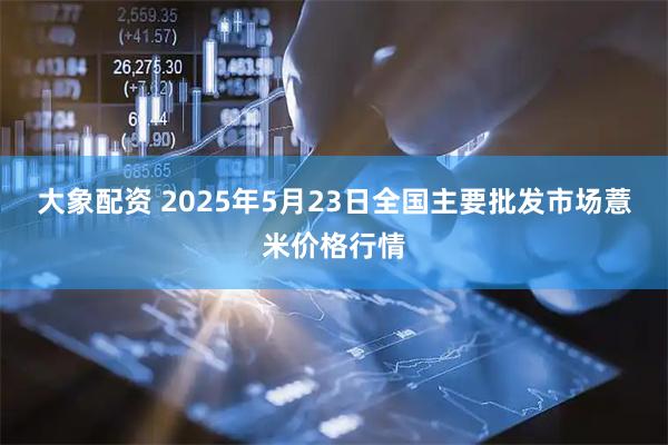 大象配资 2025年5月23日全国主要批发市场薏米价格行情