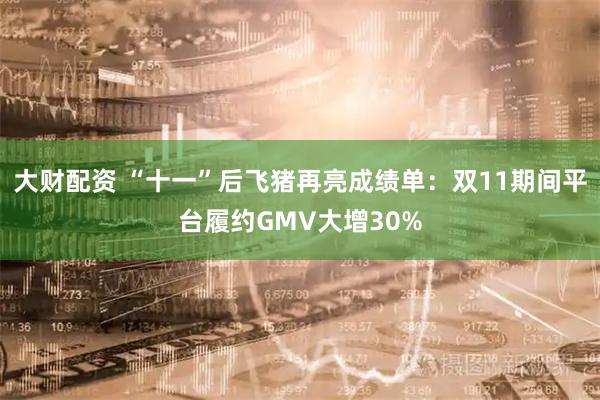 大财配资 “十一”后飞猪再亮成绩单：双11期间平台履约GMV大增30%