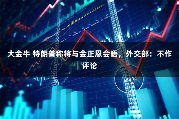 大金牛 特朗普称将与金正恩会晤，外交部：不作评论